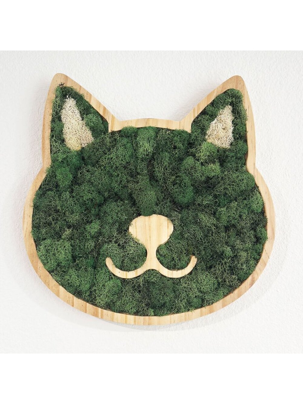 Cat Preserved Moss Wall Decor